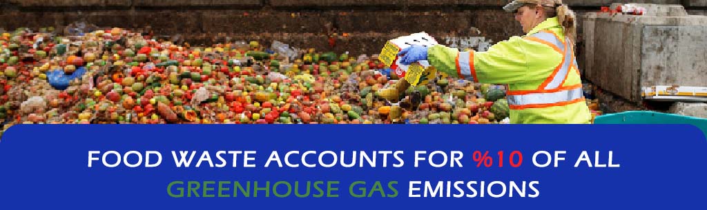 food waste accounts for %10 of all greenhouse gas emissions
